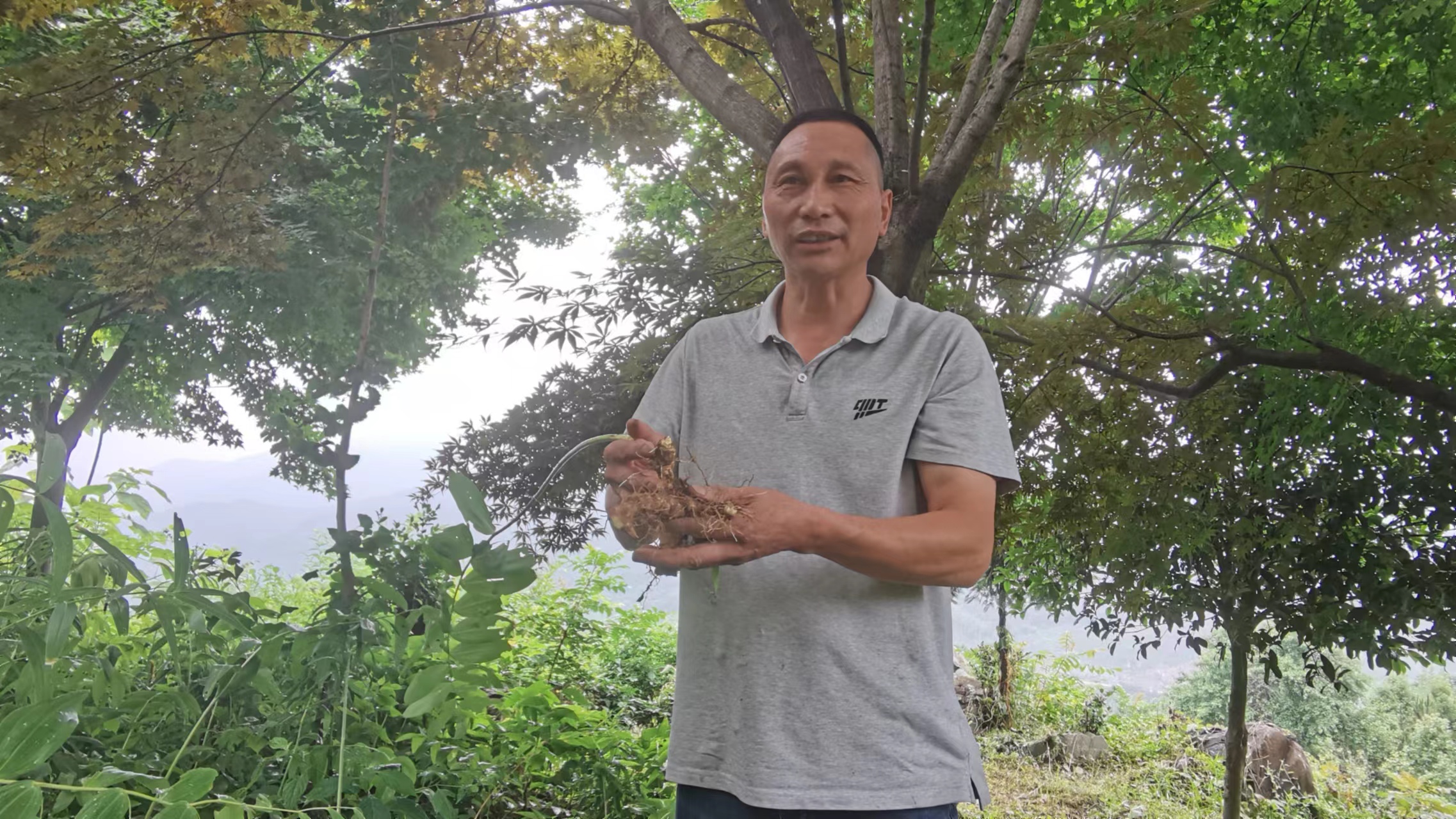 張旭峰捧著剛挖出的黃精。人民網(wǎng) 胡雨松攝