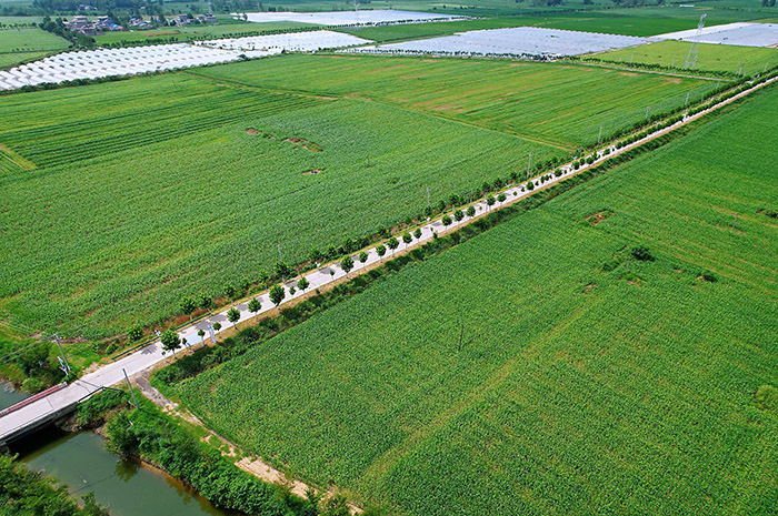 蒙城縣岳坊鎮(zhèn)鄉(xiāng)道 Y076。亳州市交通局供圖