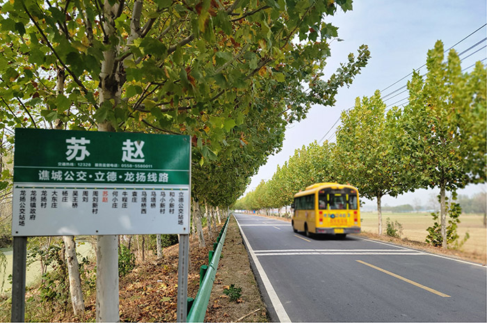 譙城區(qū)縣道013大龍路。亳州市交通局供圖