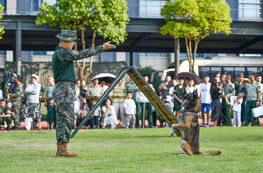 2024年8月9日，安徽合肥，在武警安徽總隊(duì)合肥支隊(duì)營(yíng)區(qū)，軍嫂軍娃觀摩軍犬服從訓(xùn)練演示。
