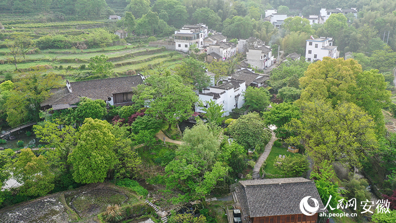 俯瞰“塔川書院”。人民網(wǎng)記者 張俊攝