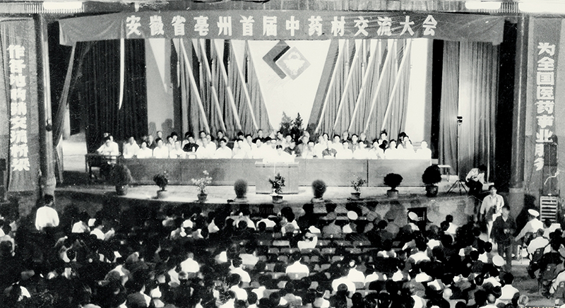 1、亳州首屆藥交會。劉濤攝