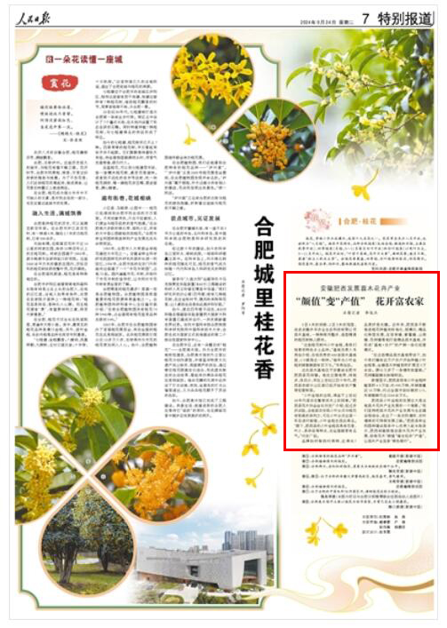 《 人民日?qǐng)?bào) 》（ 2024年09月24日   第 07 版）