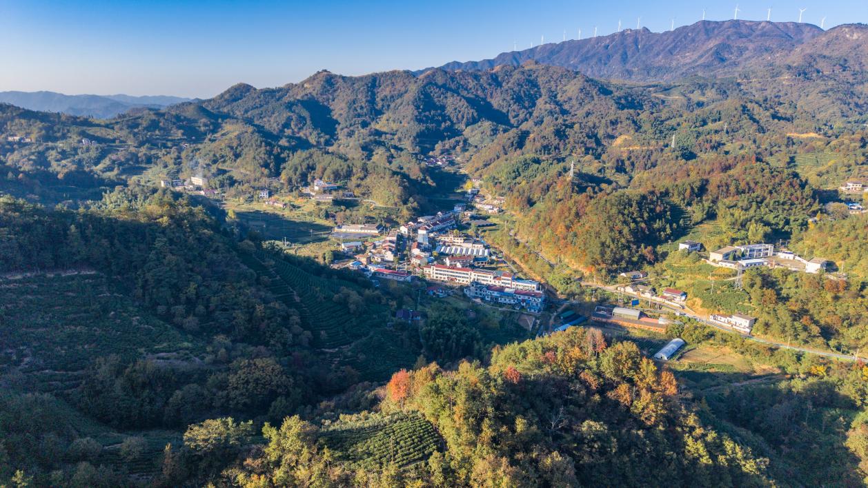 10月30日下午，黃甲鎮(zhèn)三新村黨群活動(dòng)中心及周邊航拍圖像。徐昌壽攝