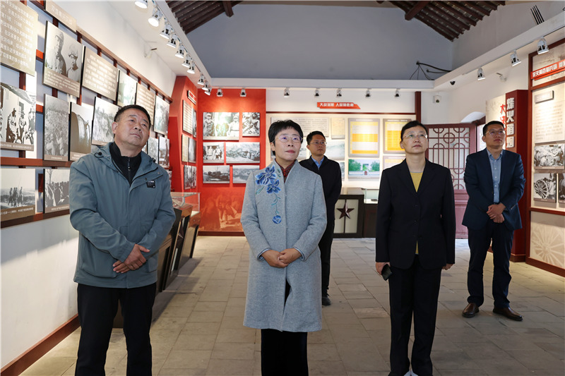 蒙曼來淮北市探尋歷史文化。