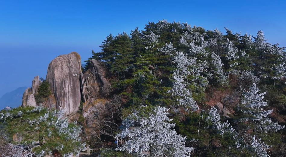 安徽九華山：花臺(tái)之巔霧凇綻放 宛若仙境【3】
