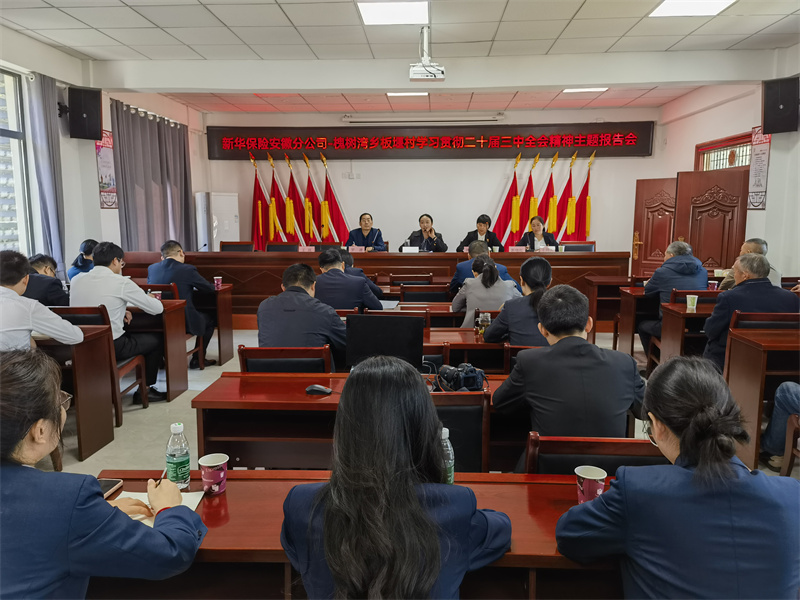 黨建幫扶，開展黨建學(xué)習(xí)主題報(bào)告會。王曉剛攝