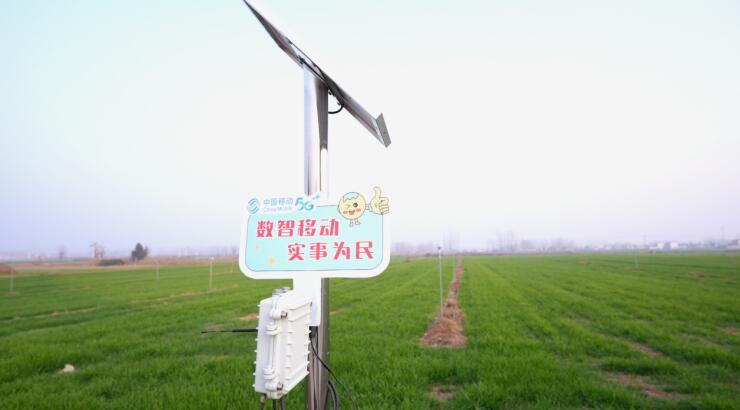 安徽移動建設(shè)的智慧化農(nóng)田。