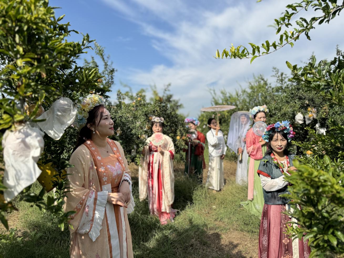 （懷遠縣第十屆石榴文化旅游節(jié)期間，游客暢游榴園）