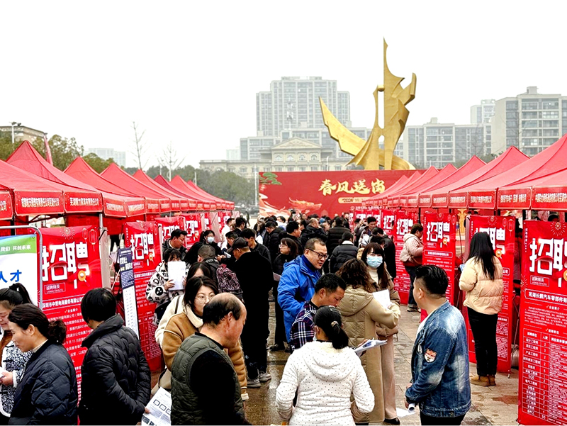 常態(tài)化開展各類招聘活動。鳩江區(qū)委宣傳部供圖.jpg