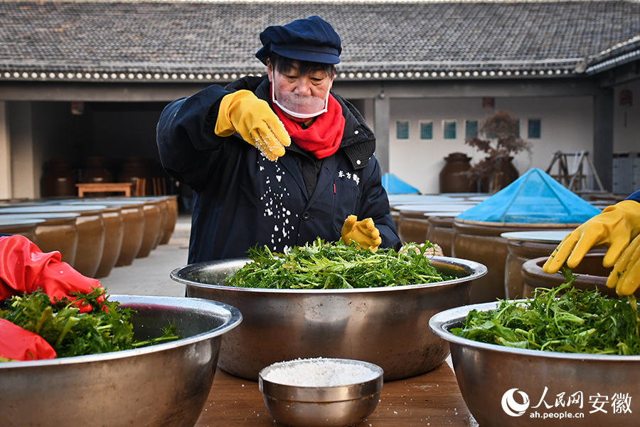 清洗干凈后的雪菜，撒上食用鹽拌勻。人民網(wǎng)記者 周坤攝