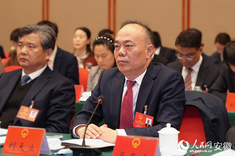 安徽省人大代表胡天立在會場參與省政府工作報告審議。人民網記者 苗子健攝