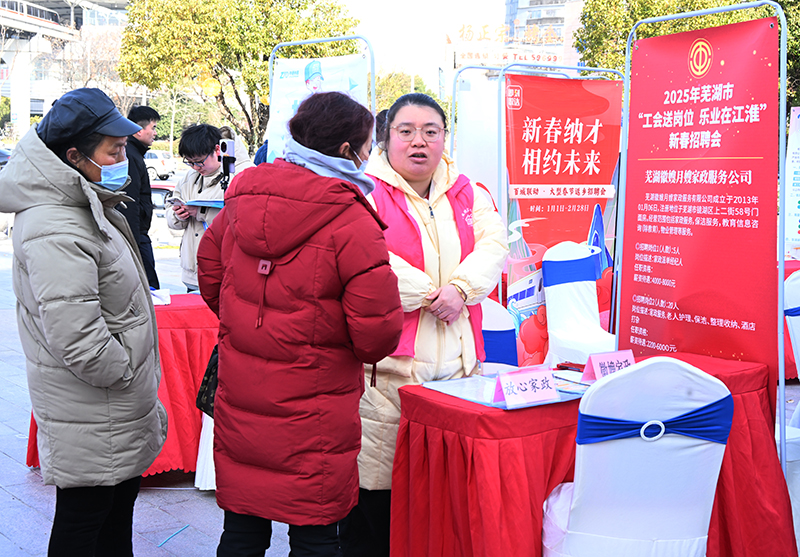 蕪湖市分會(huì)場(chǎng)，求職者在企業(yè)招聘展位前咨詢。曉偉 攝).jpg