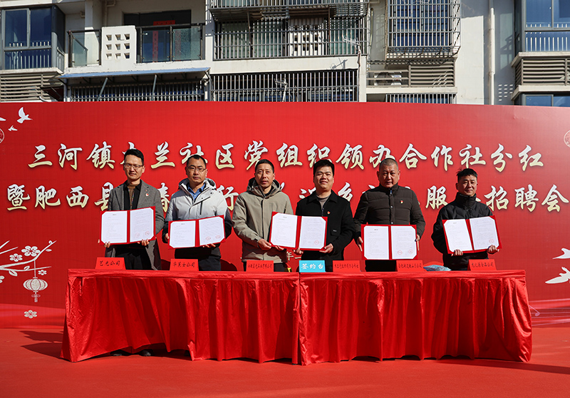 與企業(yè)現(xiàn)場簽訂訂單協(xié)議。肥西縣委宣傳部供圖