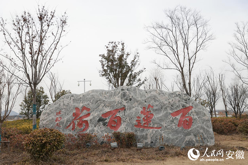 百蓮百荷入口。人民網(wǎng)記者 王曉飛攝
