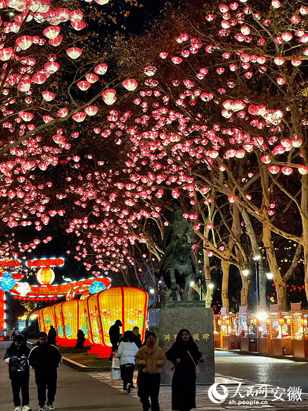 逍遙津萬(wàn)燈花樹迎新年。人民網(wǎng) 郭昊攝