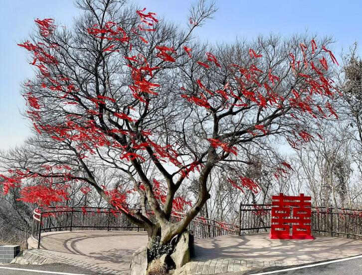 浮槎山新春游園薈活動(dòng)。東城文旅供圖