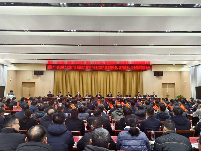 宿州市埇橋區(qū)“新春第一會(huì)”現(xiàn)場。人民網(wǎng) 陶偉攝