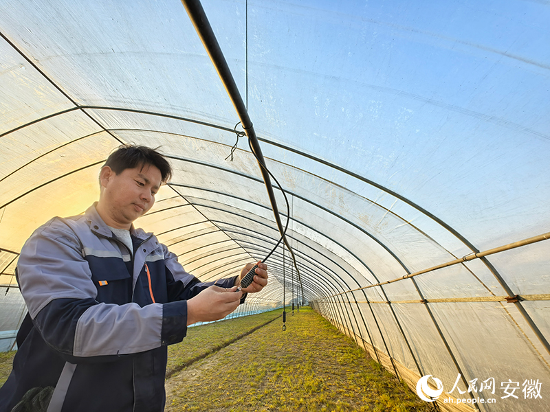 周建佑在大棚里檢查噴灌設(shè)備。人民網(wǎng)記者 汪瑞華攝