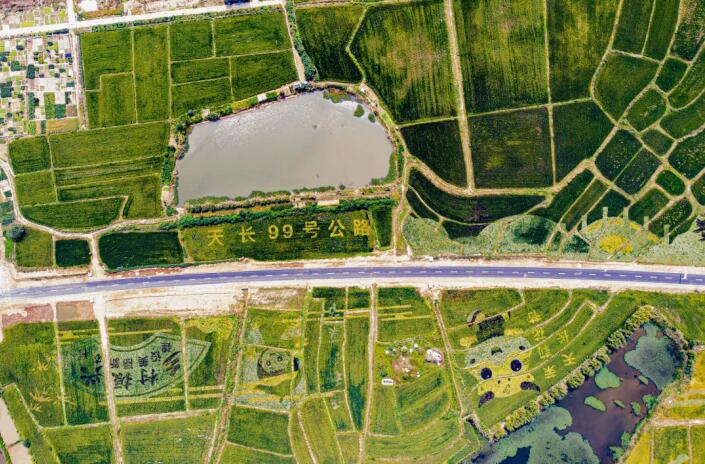 天長99號公路航拍圖。