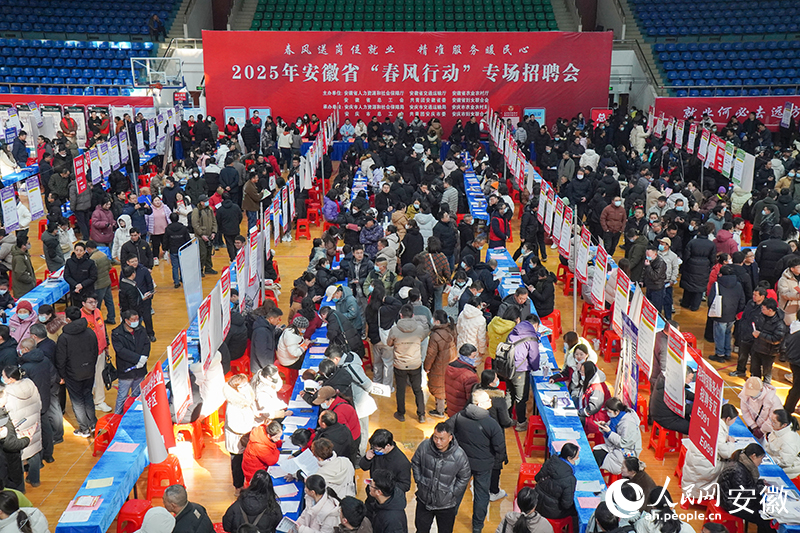 2025年安徽省“春風(fēng)行動(dòng)”專場(chǎng)招聘會(huì)。人民網(wǎng)記者 陳若天攝
