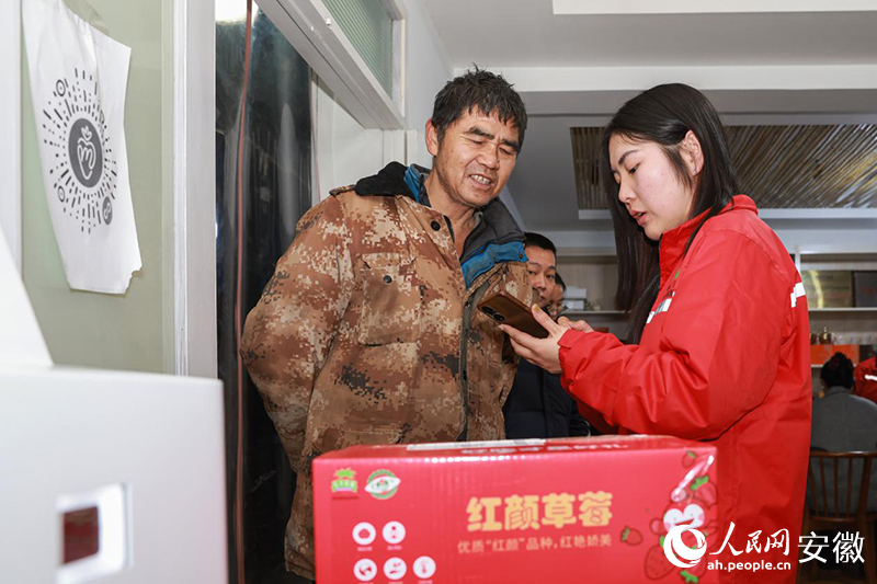 工作人員（右）幫助種植戶處理草莓電商訂單。人民網記者 張俊攝