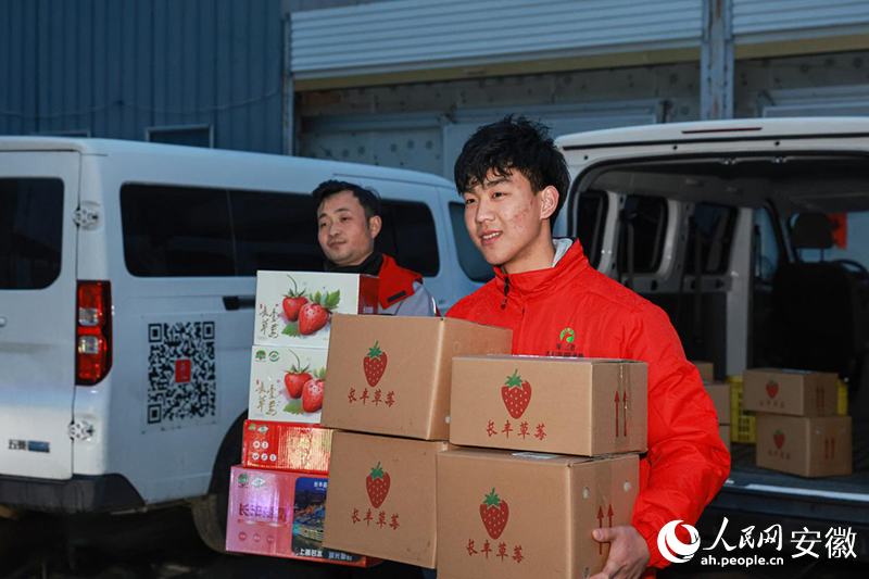 工作人員將從村級攬收點接收的“電商草莓”送往物流樞紐。人民網記者 張俊攝