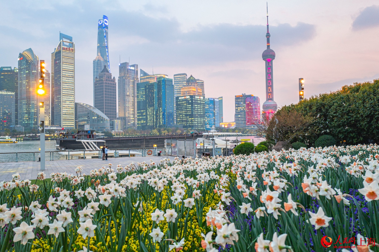 北外灘繁花似錦，景色迷人。 人民網(wǎng)記者 王初攝