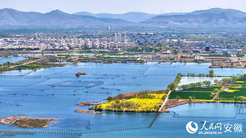 春日朔西湖。人民網(wǎng) 郭昊攝