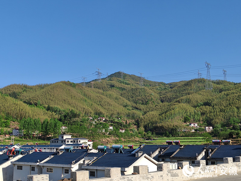 大別山脈漫山竹海。人民網(wǎng) 丁紀(jì)攝