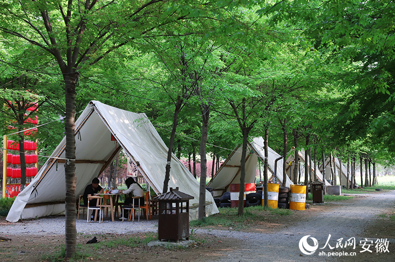 景區(qū)內的露營基地。人民網(wǎng)記者 韓震震攝