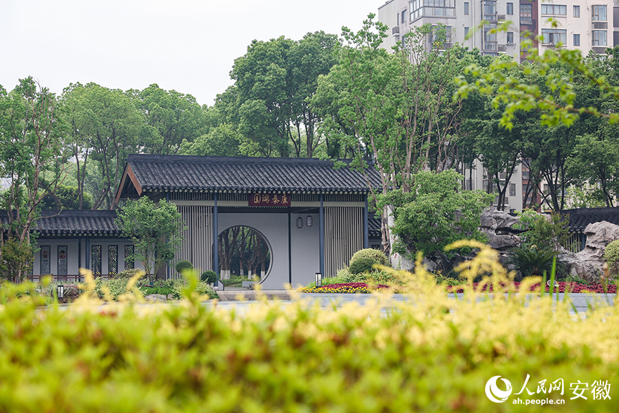 市民家門口的康泰游園。人民網(wǎng)記者 張俊攝