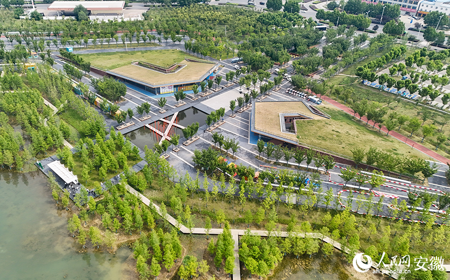 淮南春申湖公園風景如畫。人民網(wǎng)記者 苗子健攝