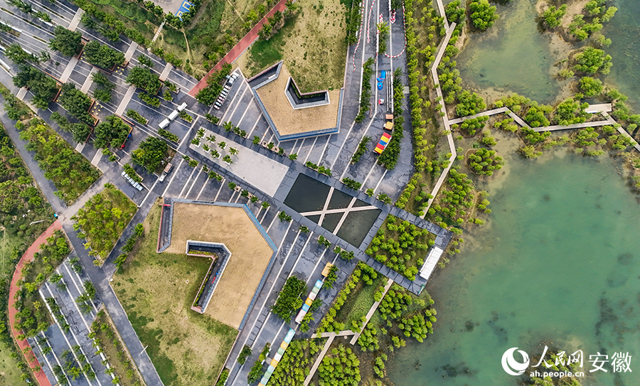 淮南春申湖公園風(fēng)景如畫(huà)。人民網(wǎng)記者 苗子健攝
