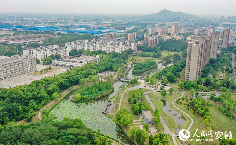 俯瞰蘆塘生態(tài)公園。人民網(wǎng)記者 張俊攝