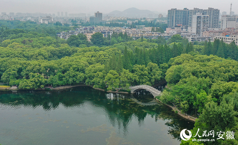 水清岸綠的馬鞍山雨山湖。人民網(wǎng)記者 李希蒙攝