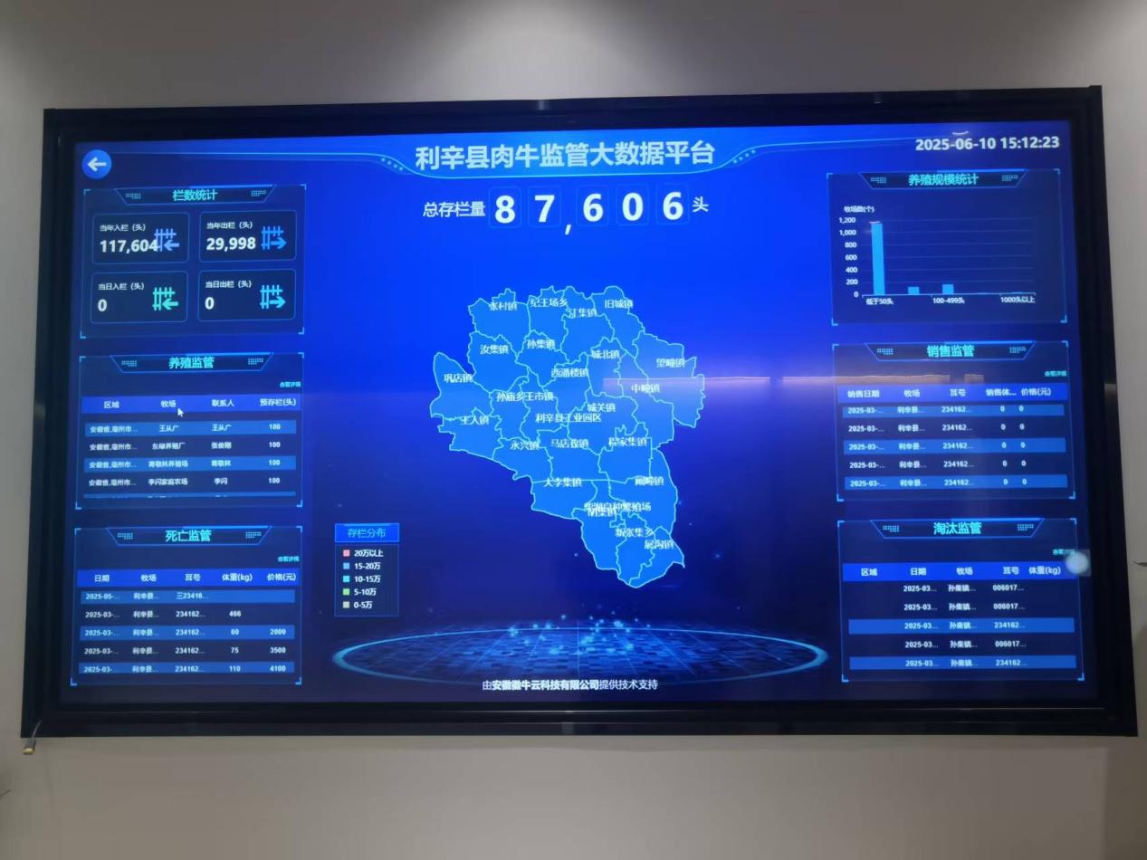 “徽牛云”平臺(tái)實(shí)時(shí)畫面。利辛縣委宣傳部供圖