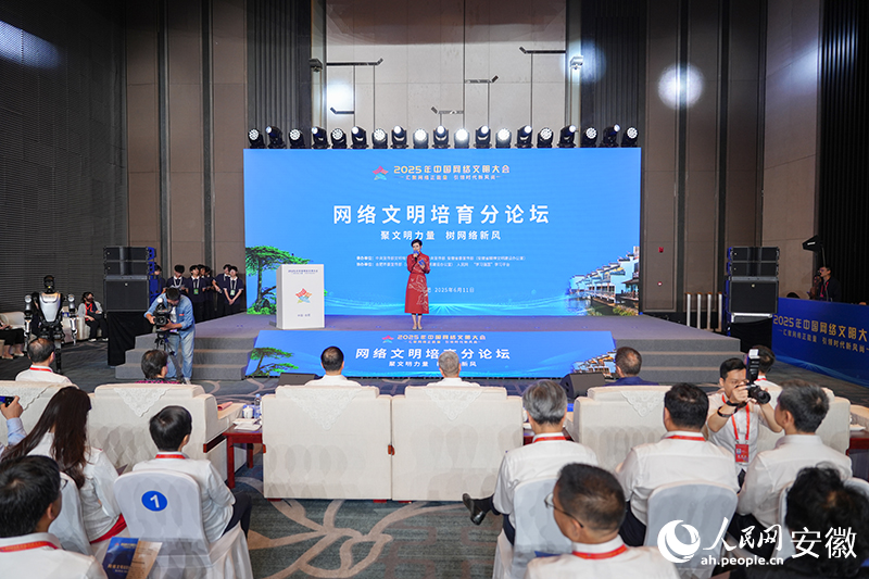 分論壇現(xiàn)場(chǎng)。人民網(wǎng)記者 苗子健攝