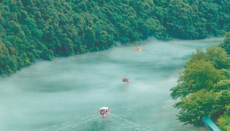 煙雨入畫