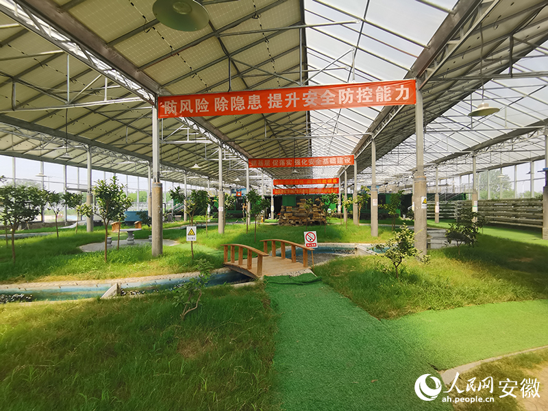 頂部的光伏板，是“光伏+智慧農(nóng)業(yè)”示范園的動(dòng)力源。人民網(wǎng) 胡雨松攝
