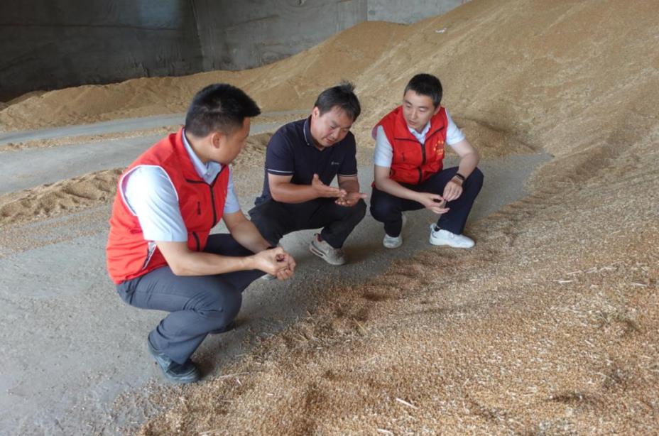 農(nóng)行蚌埠分行黨員先鋒隊(duì)上門(mén)了解糧食收購(gòu)商資金需求。