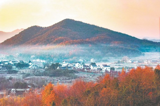 蕪湖市繁昌區(qū)：晨光中的美麗鄉(xiāng)村