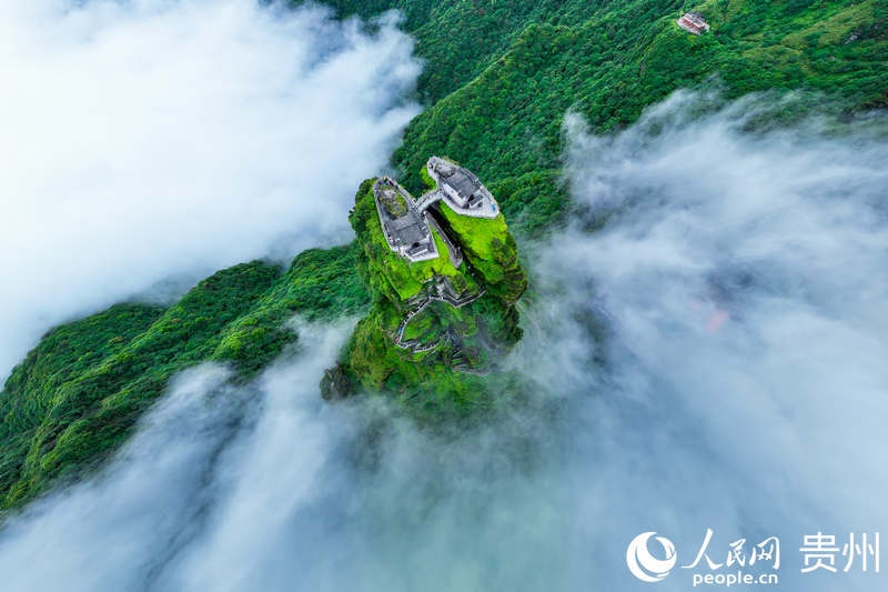 航拍梵凈山。人民網(wǎng)記者 涂敏攝