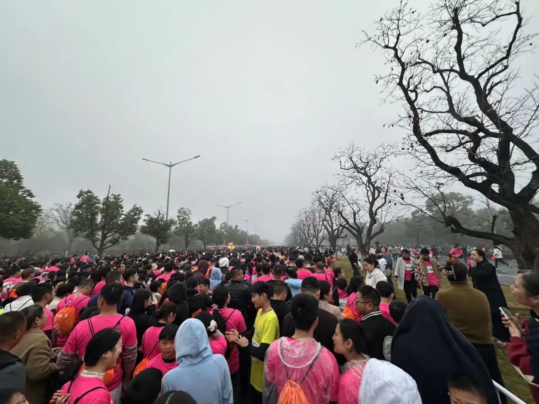 照片拍攝：楊丹妮
